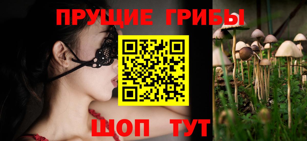 Галлюциногенные грибы мицелий Самара