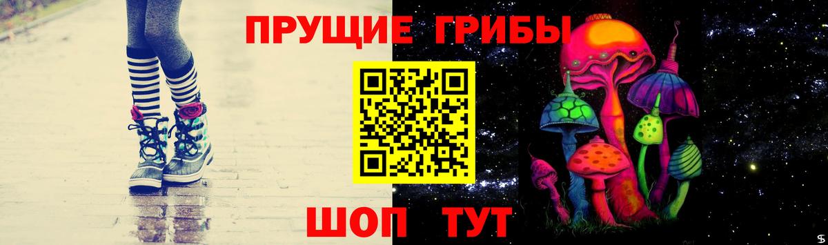 Галлюциногенные грибы GOLDEN TEACHER  продажа наркотиков  Самара  Вход с VPN 